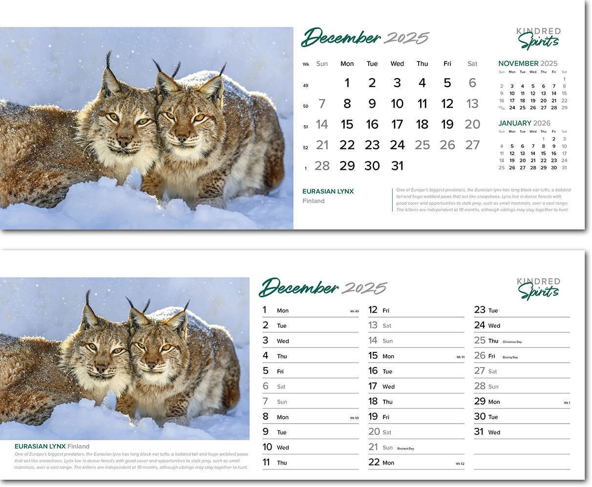 Kindred Spirits Premium Lined Easel Desk Calendar
