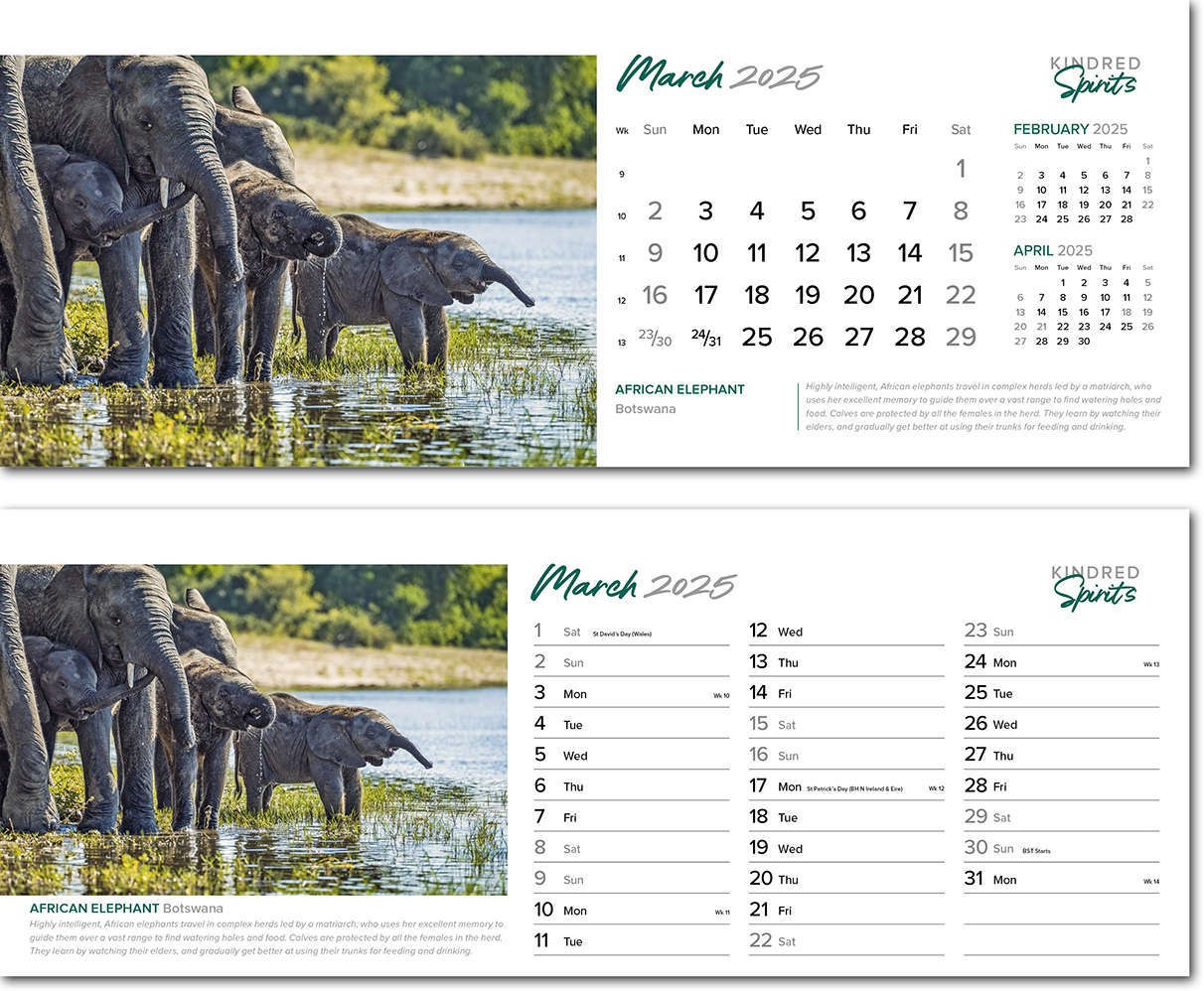Kindred Spirits Premium Lined Easel Desk Calendar