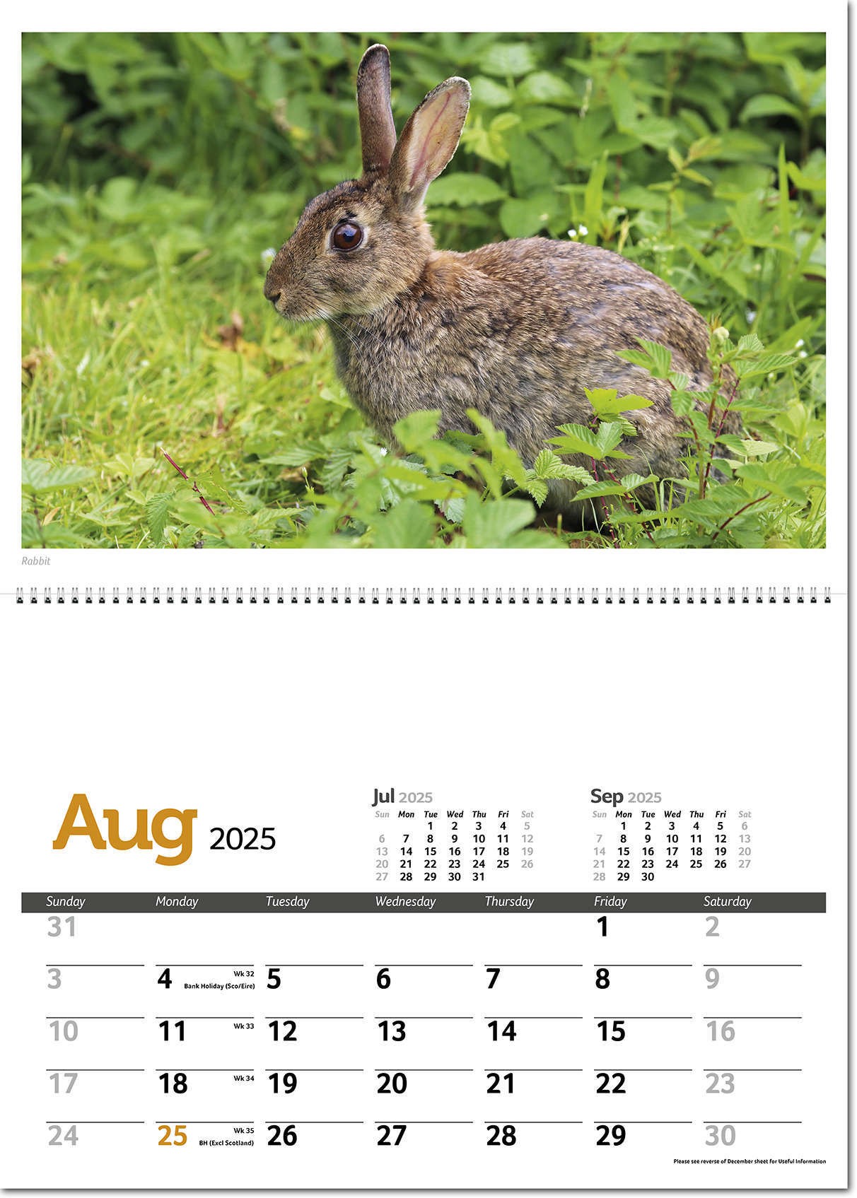 Wildlife in Britain Postage Saver Calendar