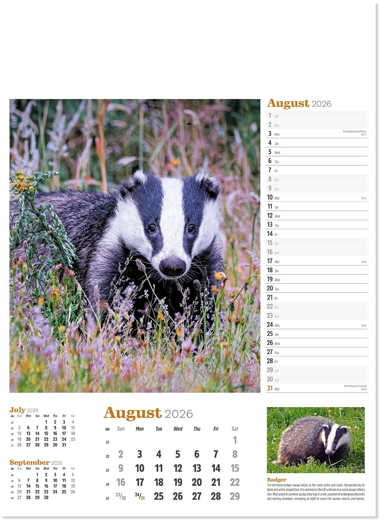 Wildlife in Britain Wall Calendar