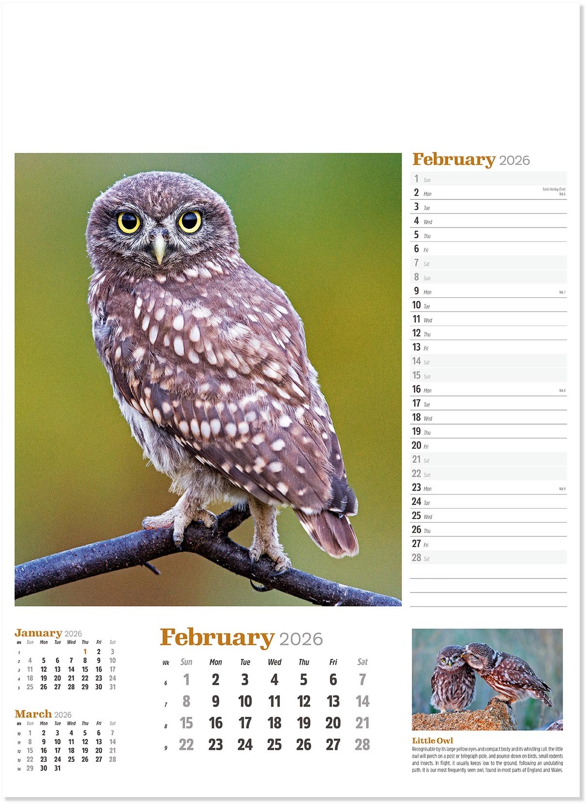 Wildlife in Britain Wall Calendar