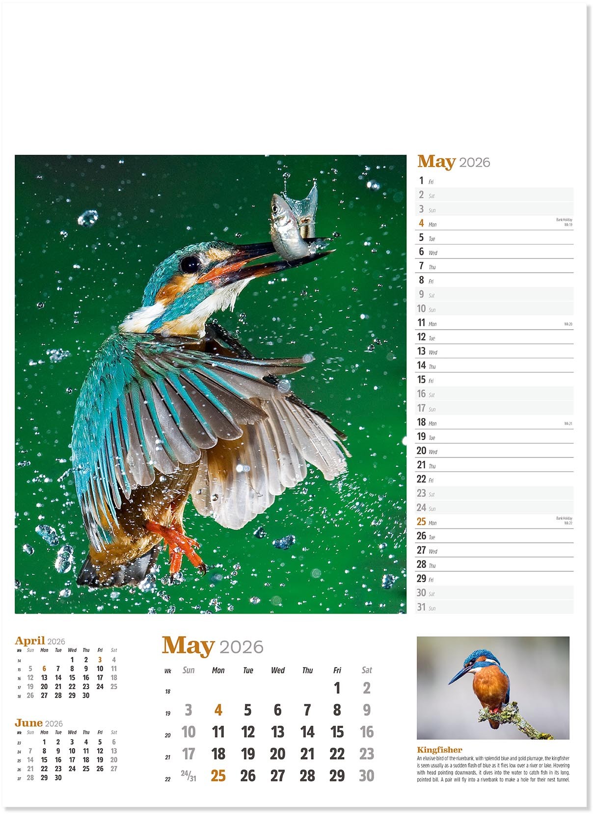 Wildlife in Britain Wall Calendar