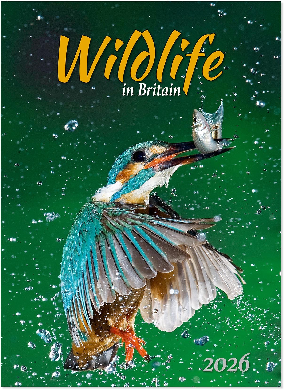 Wildlife in Britain Wall Calendar
