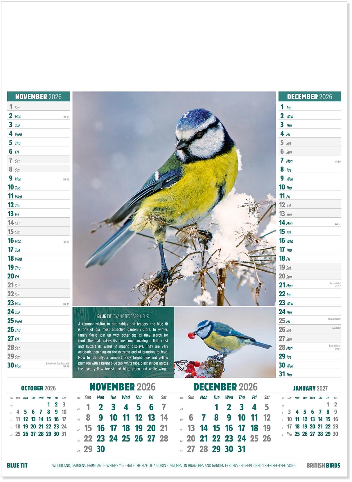 British Birds Calendar