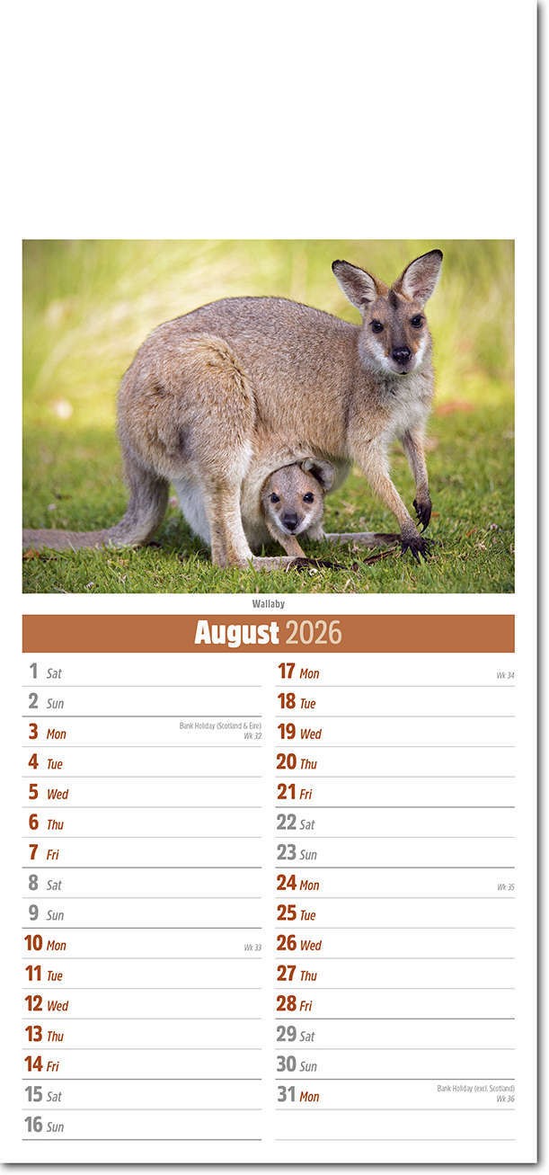 Slimline World Wildlife Compact Calendar