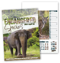 Promotional Wall Calendars